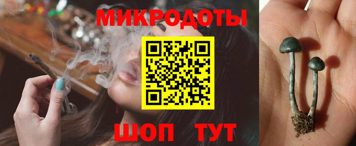 Котовск  Галлюциногенные грибы мицелий  Вход с VPN 