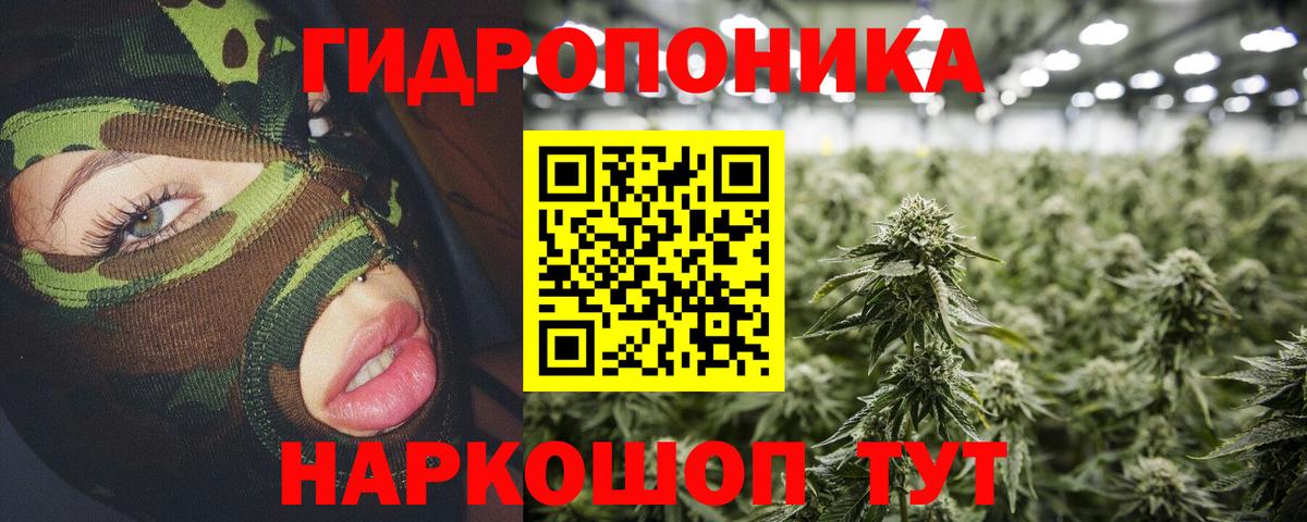 Каннабис семена Котовск