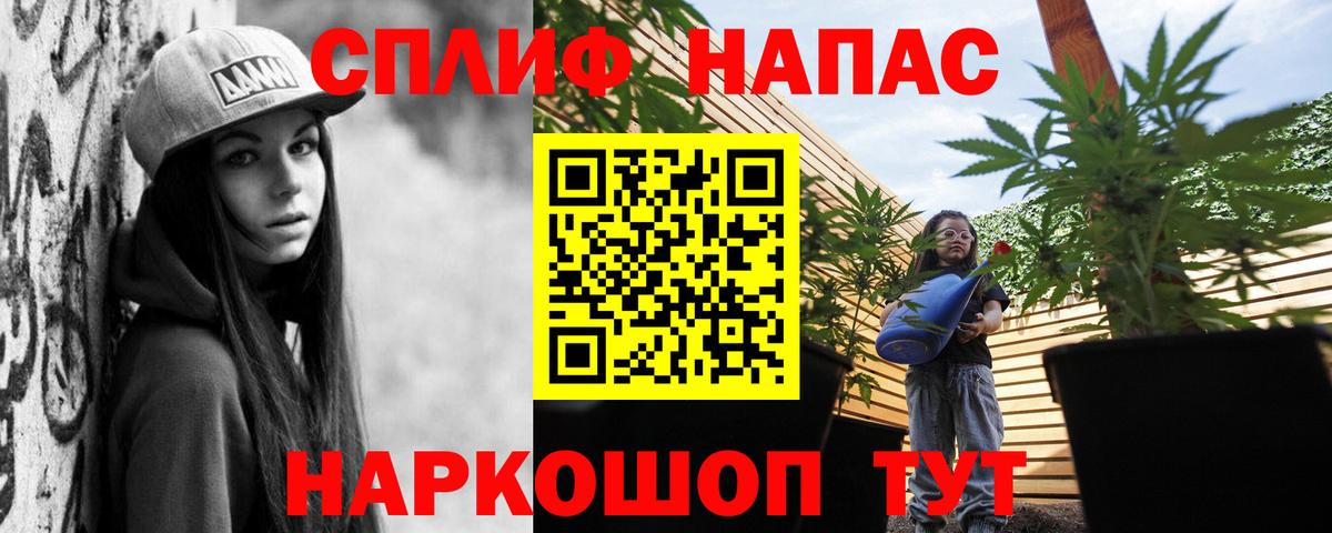 Бошки Шишки планчик  Бошки Шишки тримм  Вход с VPN  Канабис AK-47  Котовск 